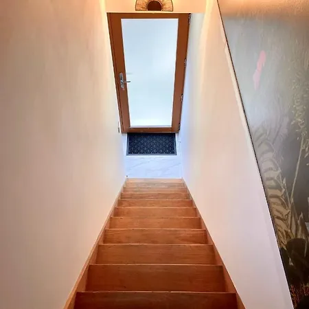 The - Voyage Des Sens